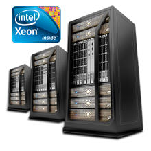 qualita_server-1 qualita_server-1